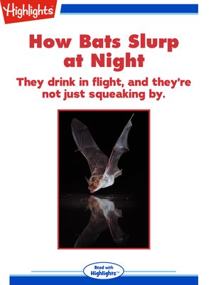 cover image of How Bats Slurp at Night